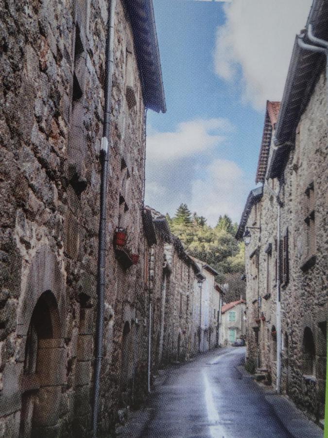 Gite Le Maty Saint-Andre-Capceze Extérieur photo